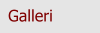 Galleri